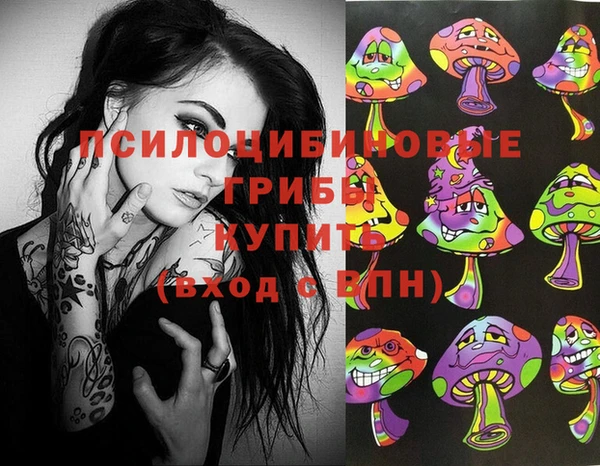 2c-b Инта