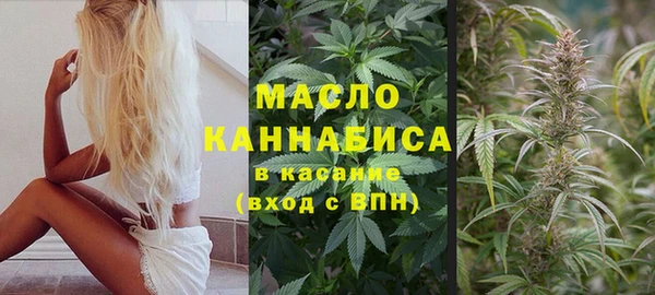 твердый Иннополис