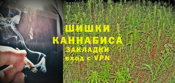 Альфа ПВП Инсар