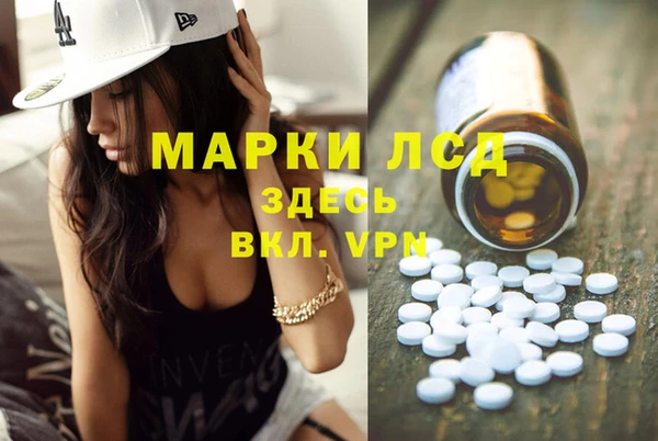 Альфа ПВП Инсар