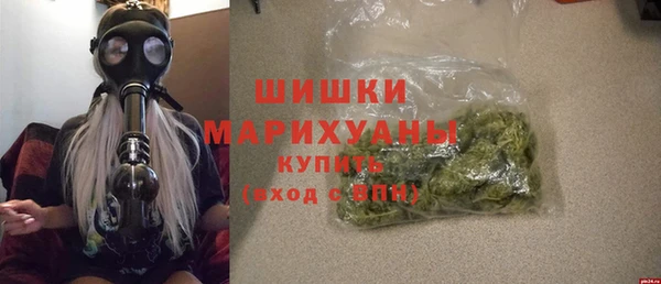Альфа ПВП Инсар