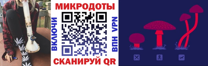Купить  Брюховецкая  Галлюциногенные грибы мухоморы 